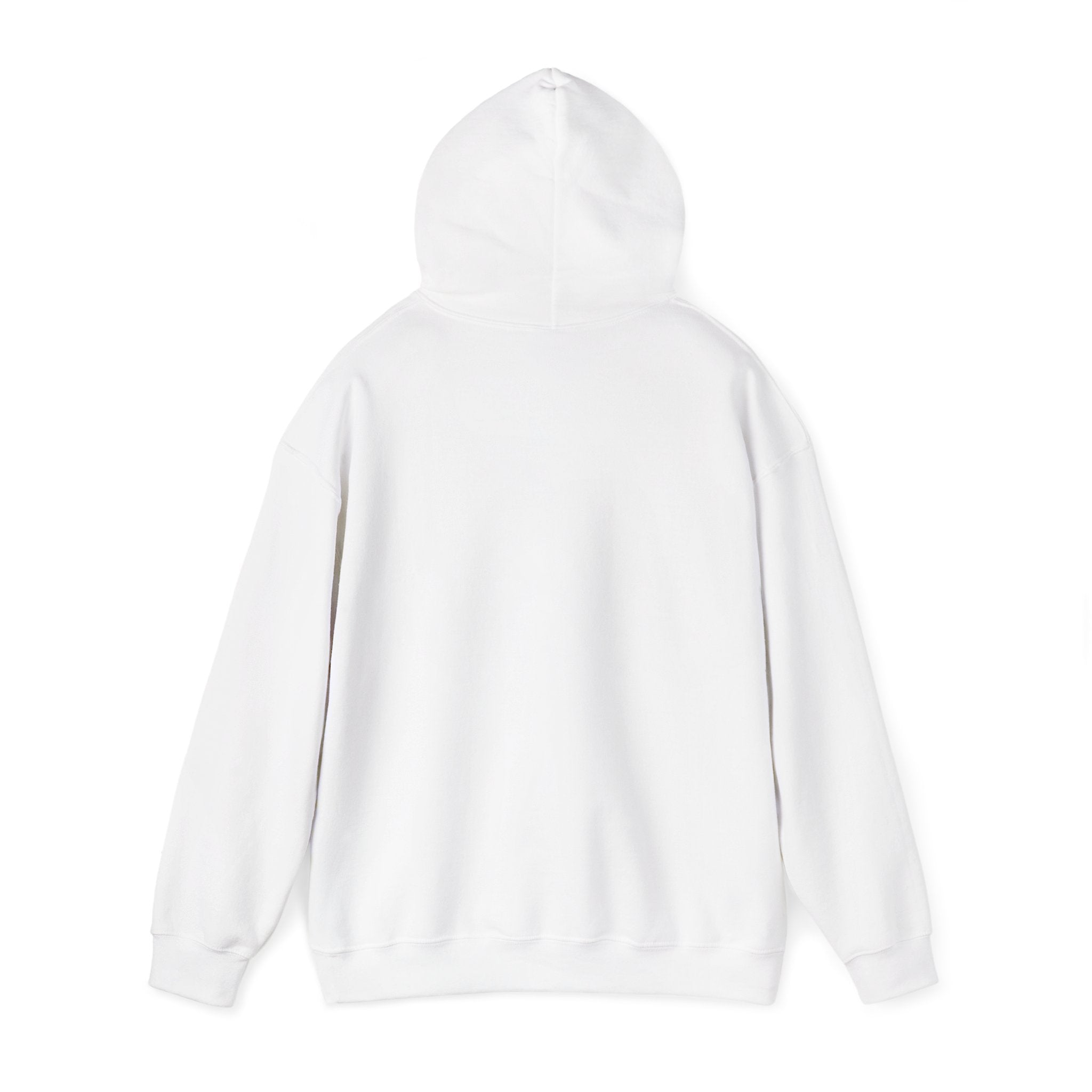 Summer Sunshine Retro Sunburst Hoodie | summer aesthetic, pastel coastal vibes