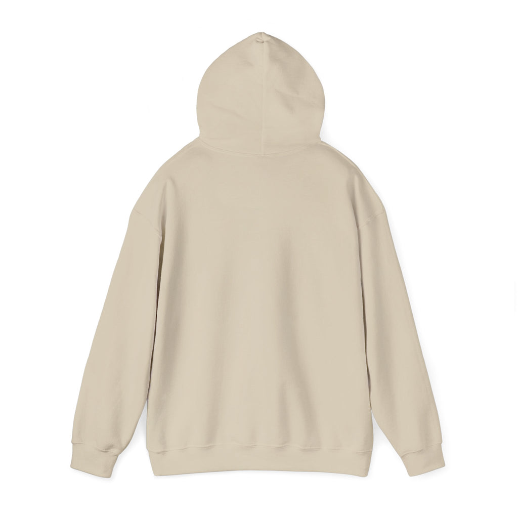 Summer Sunshine Retro Sunburst Hoodie | summer aesthetic, pastel coastal vibes