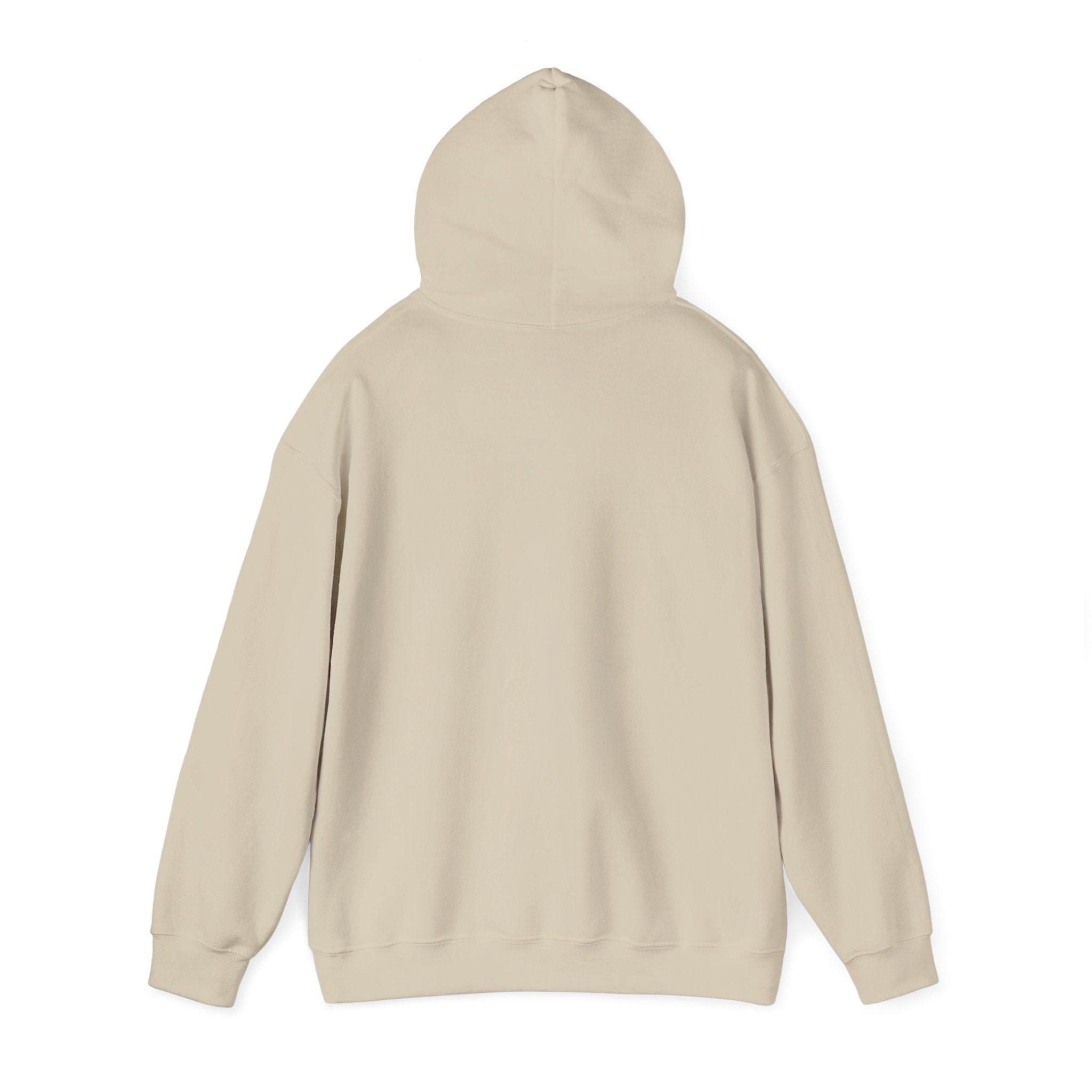 Summer Sunshine Retro Sunburst Hoodie | summer aesthetic, pastel coastal vibes