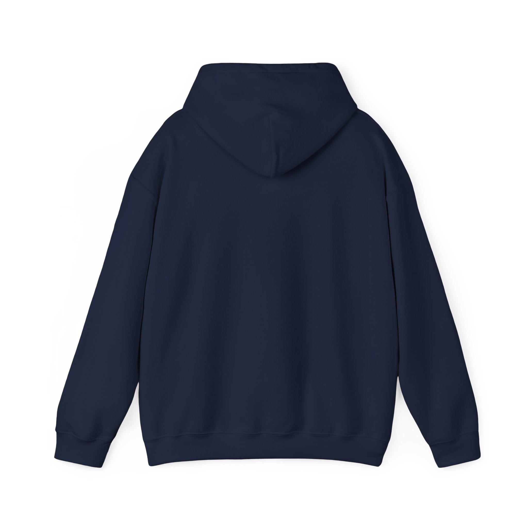 Summer Sunshine Retro Sunburst Hoodie | summer aesthetic, pastel coastal vibes