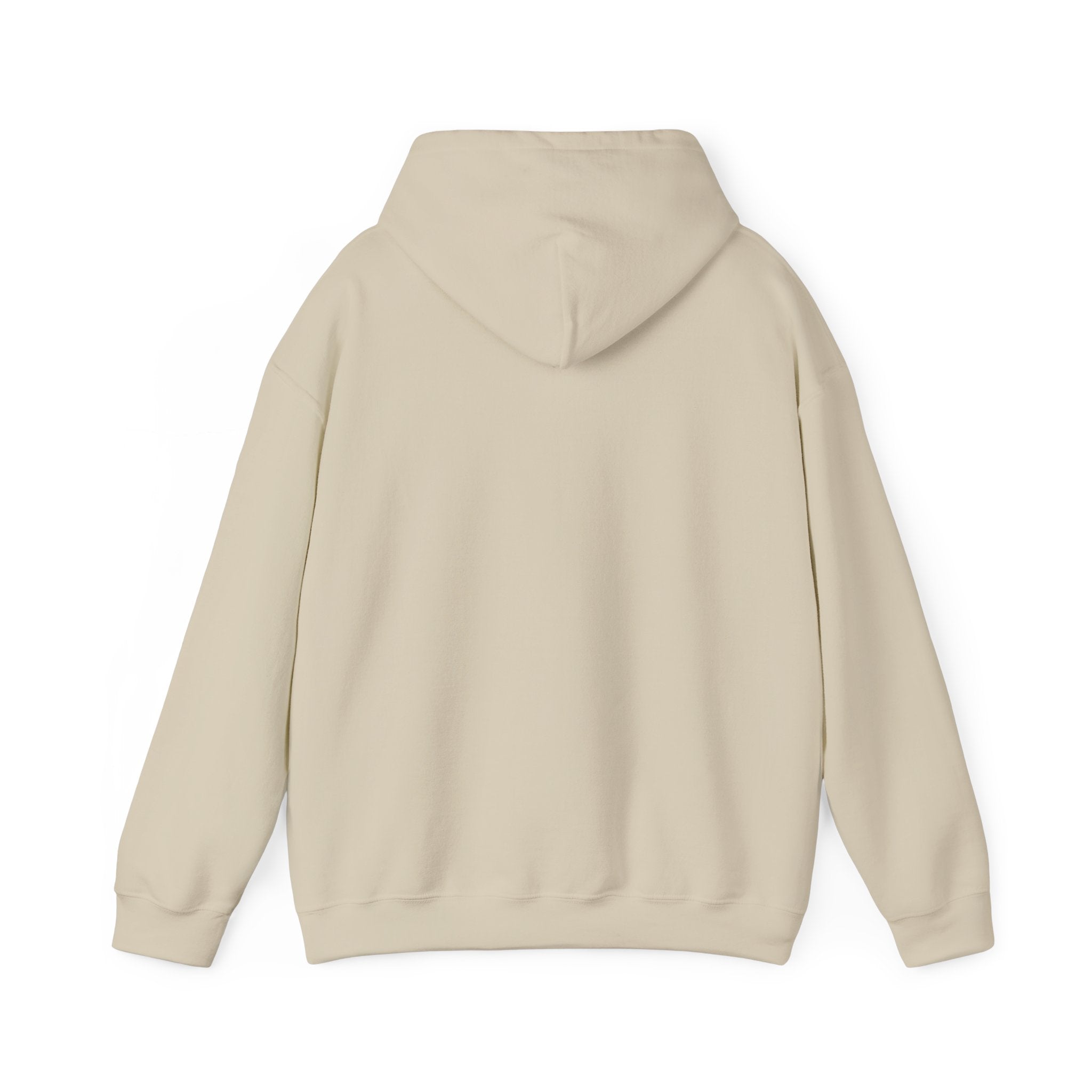 Summer Sunshine Retro Sunburst Hoodie | summer aesthetic, pastel coastal vibes