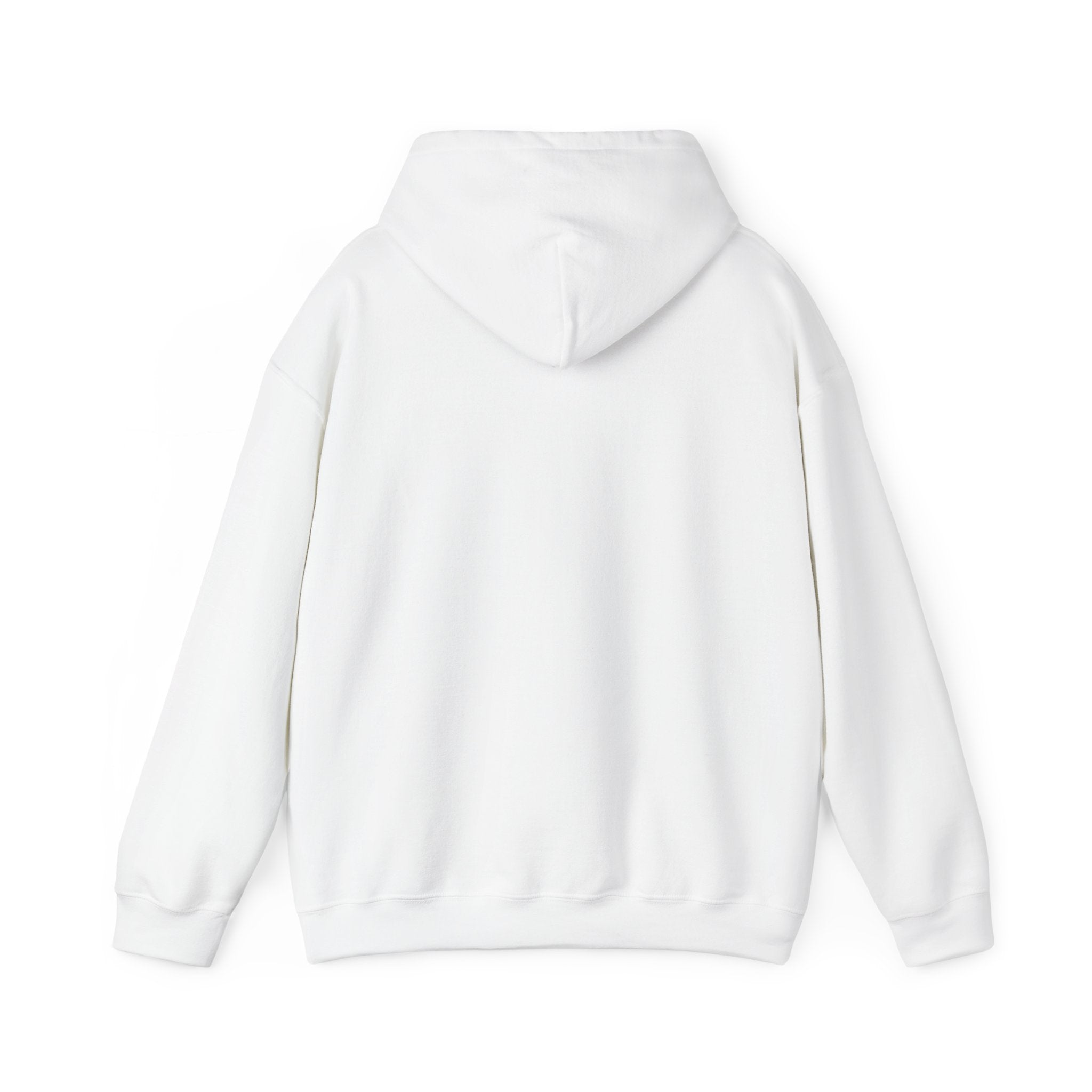Summer Sunshine Retro Sunburst Hoodie | summer aesthetic, pastel coastal vibes